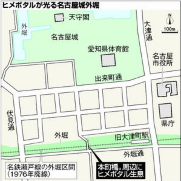 名古屋城 ホタル 17 時間と場所 駐車場